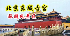 粗大🐔巴进进出出高潮流白浆中国北京-东城古宫旅游风景区